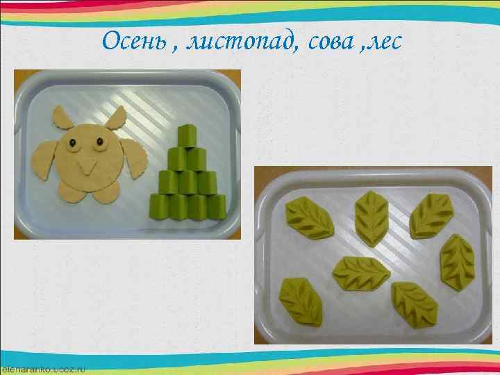 Осень , листопад, сова , лес 