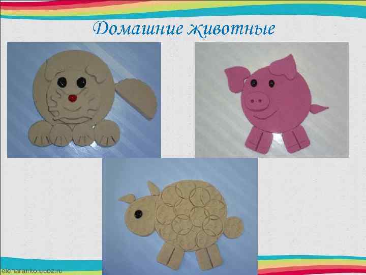 Домашние животные 