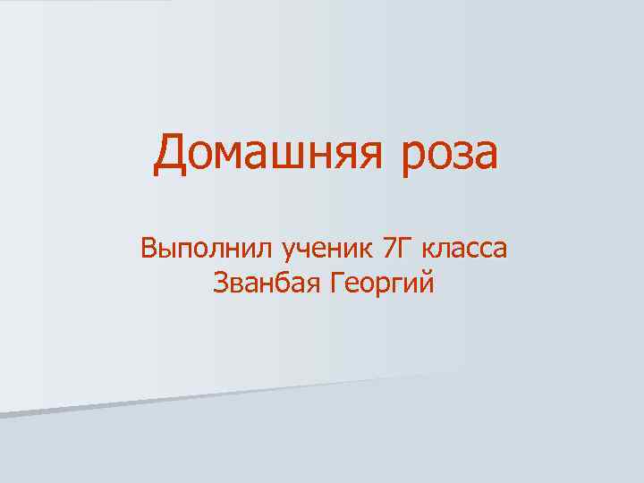 Домашняя роза Выполнил ученик 7 Г класса Званбая Георгий 