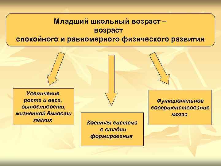 Младший школьный возраст – возраст спокойного и равномерного физического развития Увеличение роста и веса,