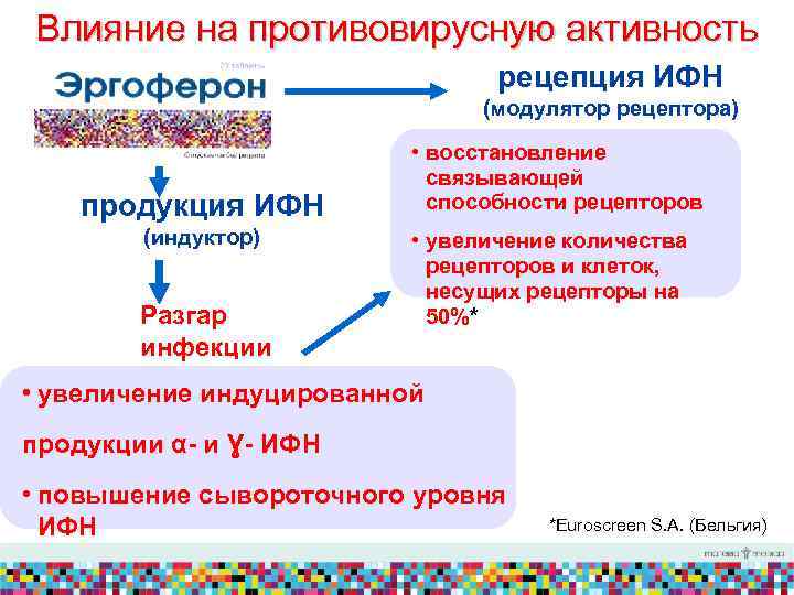 Влияние на противовирусную активность рецепция ИФН (модулятор рецептора) продукция ИФН (индуктор) Разгар инфекции •