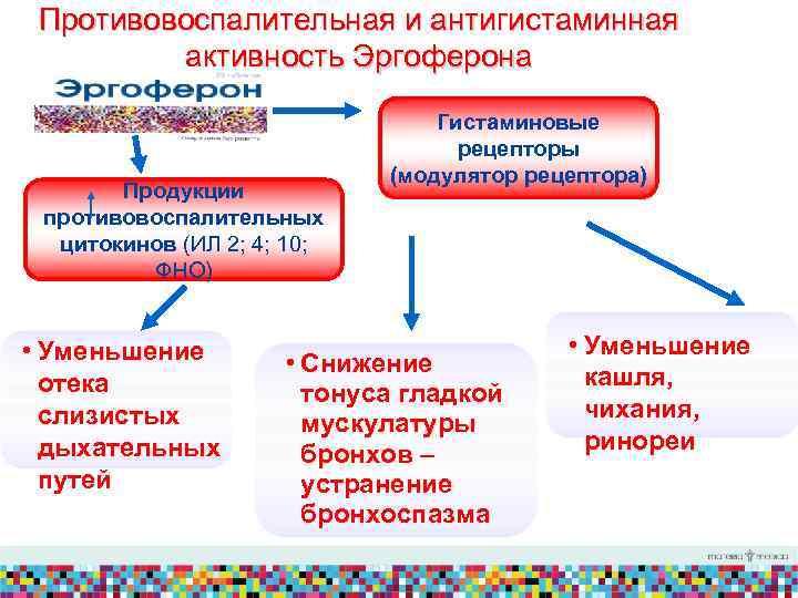 Противовоспалительная и антигистаминная активность Эргоферона Продукции противовоспалительных цитокинов (ИЛ 2; 4; 10; ФНО) •