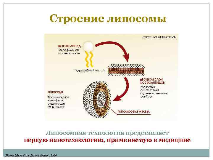 Липосомы. Строение липосомы. Липосомы в медицине. Структура липосомы. Липосома строение.