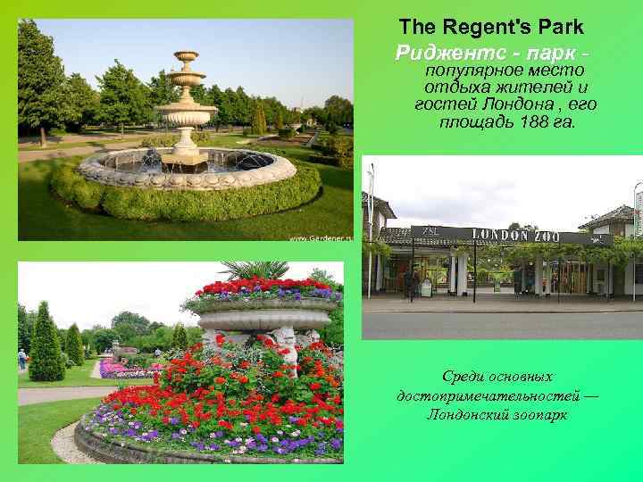 The Regent's Park Риджентс - парк - популярное место отдыха жителей и гостей Лондона