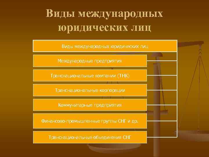 Виды субъектов организации