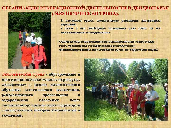 ОРГАНИЗАЦИЯ РЕКРЕАЦИОННОЙ ДЕЯТЕЛЬНОСТИ В ДЕНДРОПАРКЕ (ЭКОЛОГИЧЕСКАЯ ТРОПА). В настоящее время, экологическое равновесие дендропарка нарушено,