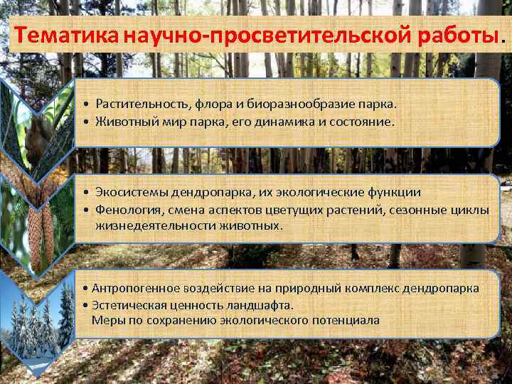 Тематика научно-просветительской работы. • Растительность, флора и биоразнообразие парка. • Животный мир парка, его