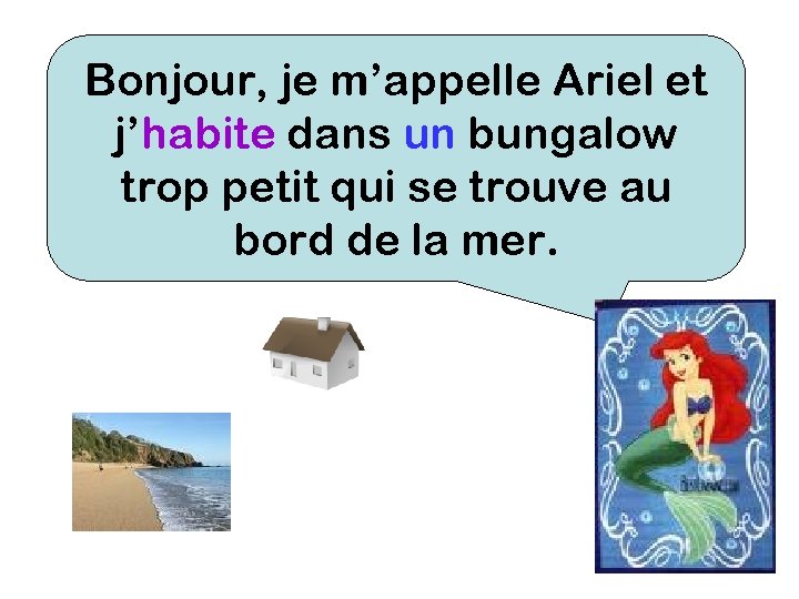 Bonjour, je m’appelle Ariel et j’habite dans un bungalow trop petit qui se trouve