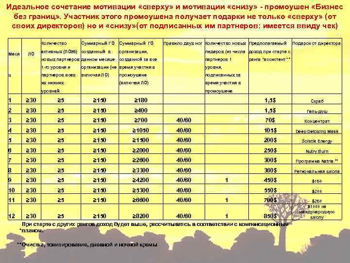 Идеальное сочетание мотивации «сверху» и мотивации «снизу» - промоушен «Бизнес без границ» . Участник