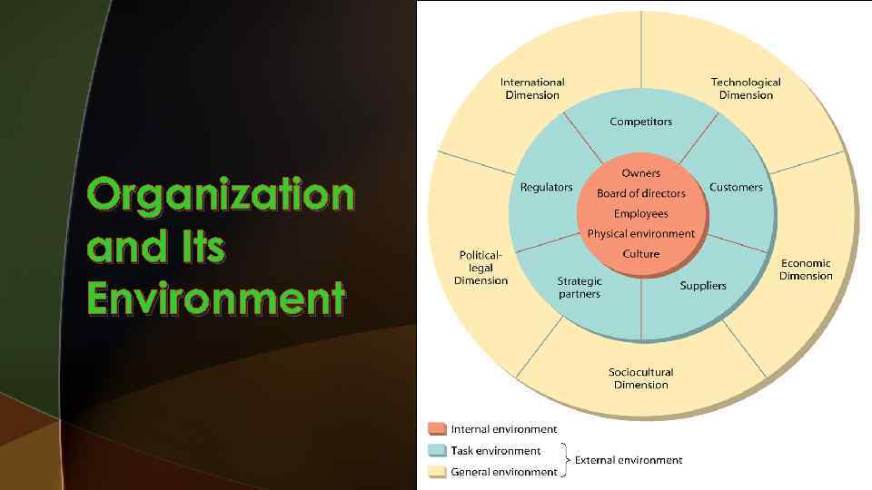 Organization and Its Environment 