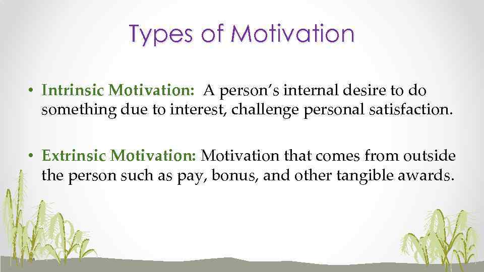 Types of Motivation • Intrinsic Motivation: A person’s internal desire to do something due