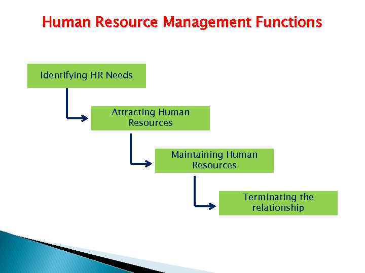 Human Resource Management Functions Identifying HR Needs Attracting Human Resources Maintaining Human Resources Terminating