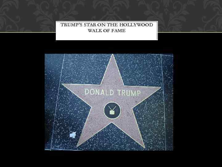 TRUMP'S STAR ON THE HOLLYWOOD WALK OF FAME 