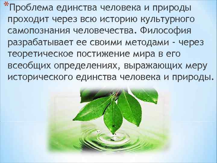 *Проблема единства человека и природы проходит через всю историю культурного самопознания человечества. Философия разрабатывает