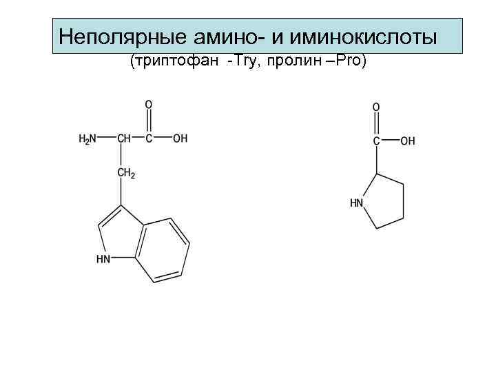Неполярные амино- и иминокислоты (триптофан -Try, пролин –Pro) 