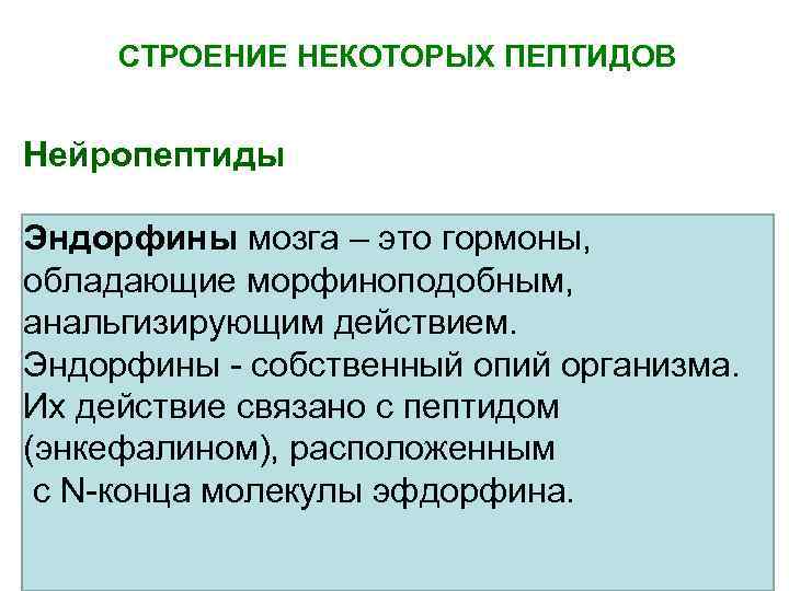 СТРОЕНИЕ НЕКОТОРЫХ ПЕПТИДОВ Нейропептиды Эндорфины мозга – это гормоны, обладающие морфиноподобным, анальгизирующим действием. Эндорфины