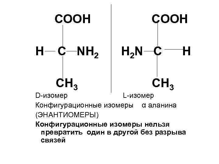  СООН Н С NH 2 CH 3 СООН H 2 N C CH