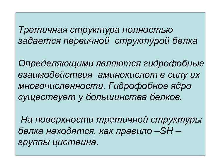 Третичная структура полностью задается первичной структурой белка Определяющими являются гидрофобные взаимодействия аминокислот в силу