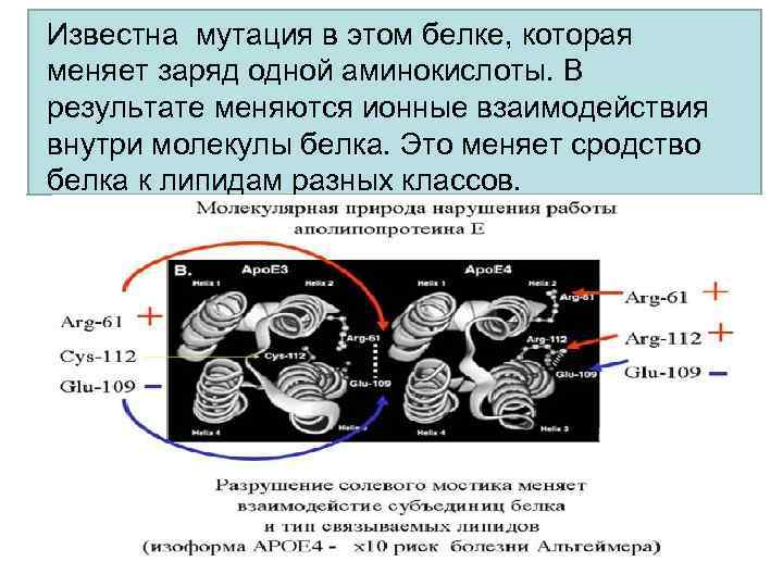 Известна мутация в этом белке, которая меняет заряд одной аминокислоты. В результате меняются ионные