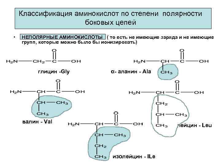 Какие аминокислоты зашифрованы в и рнк следующего состава ггц цац уау