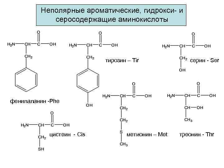 Неполярные ароматические, гидрокси- и серосодержащие аминокислоты тирозин – Tir серин - Ser фенилаланин -Phe