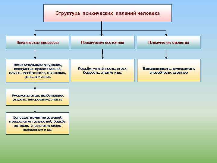 Структура психических явлений личности. Иерархия психических процессов. Какая структура феномена человек говорящий.