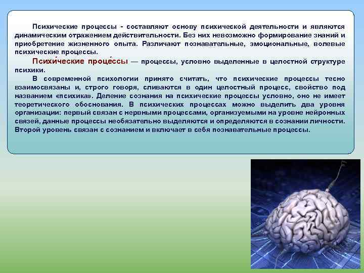 Психические процессы - составляют основу психической деятельности и являются динамическим отражением действительности. Без них