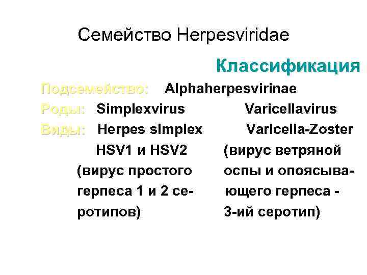 Семейство Herpesviridae Классификация Подсемейство: Alphaherpesvirinae Роды: Simplexvirus Varicellavirus Виды: Herpes simplex Varicella-Zoster HSV 1