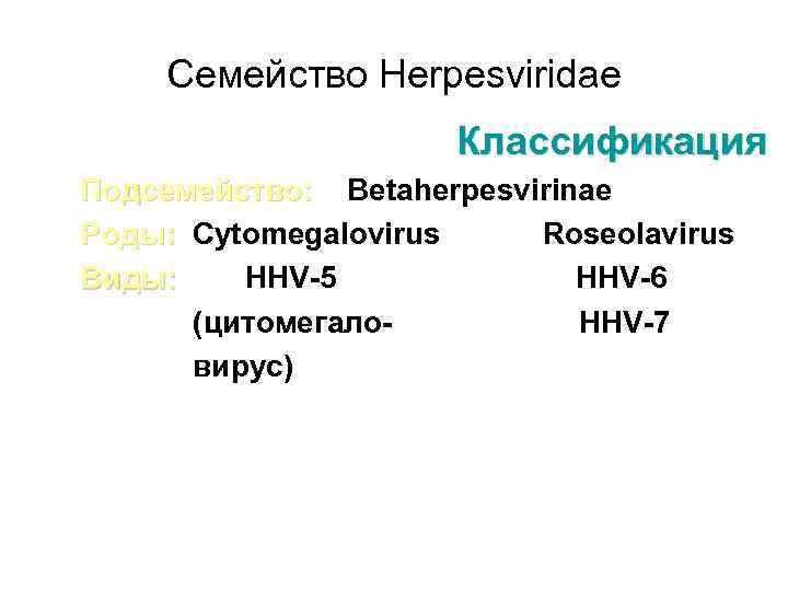 Семейство Herpesviridae Классификация Подсемейство: Betaherpesvirinae Роды: Cytomegalovirus Roseolavirus Виды: HHV-5 HHV-6 (цитомегало. HHV-7 вирус)