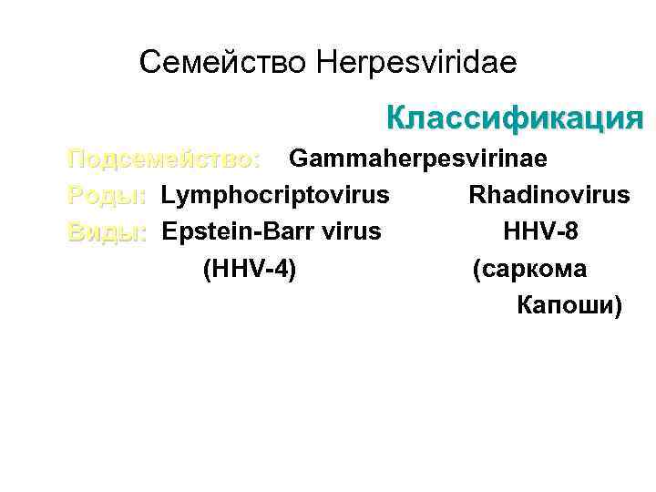 Семейство Herpesviridae Классификация Подсемейство: Gammaherpesvirinae Роды: Lymphocriptovirus Rhadinovirus Виды: Epstein-Barr virus HHV-8 (HHV-4) (саркома