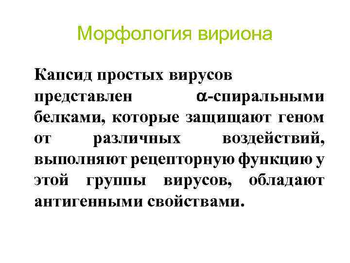 Морфология вириона Капсид простых вирусов представлен -спиральными белками, которые защищают геном от различных воздействий,