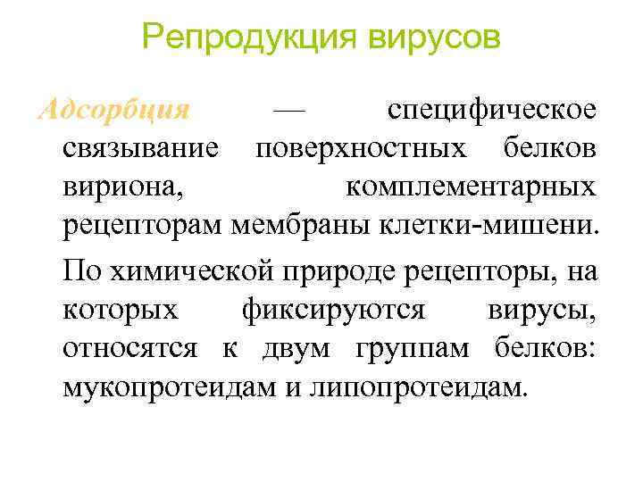Репродукция вирусов Адсорбция — специфическое связывание поверхностных белков вириона, комплементарных рецепторам мембраны клетки-мишени. По