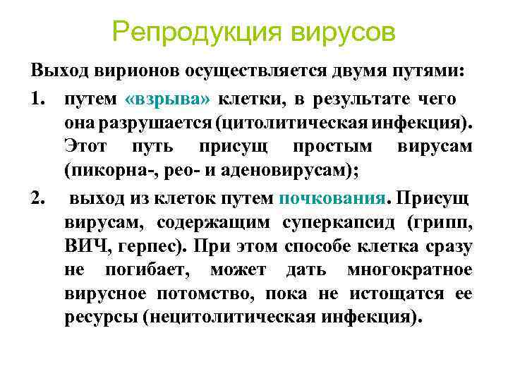 Репродукция вирусов Выход вирионов осуществляется двумя путями: 1. путем «взрыва» клетки, в результате чего