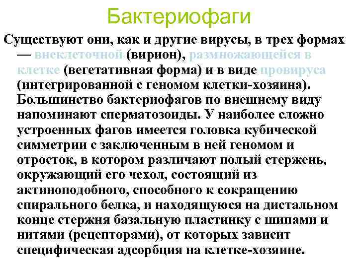 Бактериофаги Существуют они, как и другие вирусы, в трех формах — внеклеточной (вирион), размножающейся