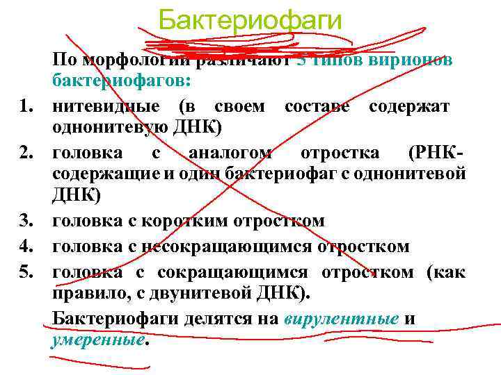 Бактериофаги 1. 2. 3. 4. 5. По морфологии различают 5 типов вирионов бактериофагов: нитевидные