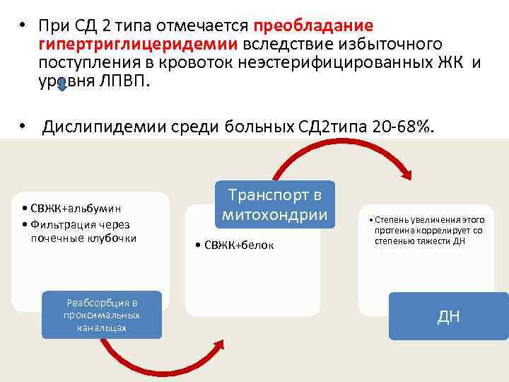  • При СД 2 типа отмечается преобладание гипертриглицеридемии вследствие избыточного поступления в кровоток