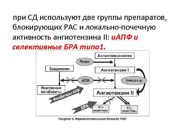  при СД используют две группы препаратов, блокирующих РАС и локально-почечную активность ангиотензина II: