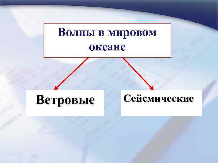 Волны в мировом океане Ветровые Сейсмические 