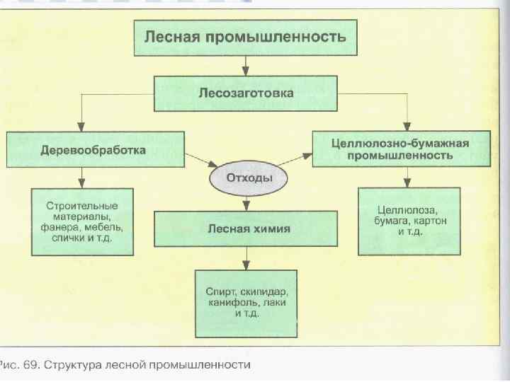 Схема лесной отрасли