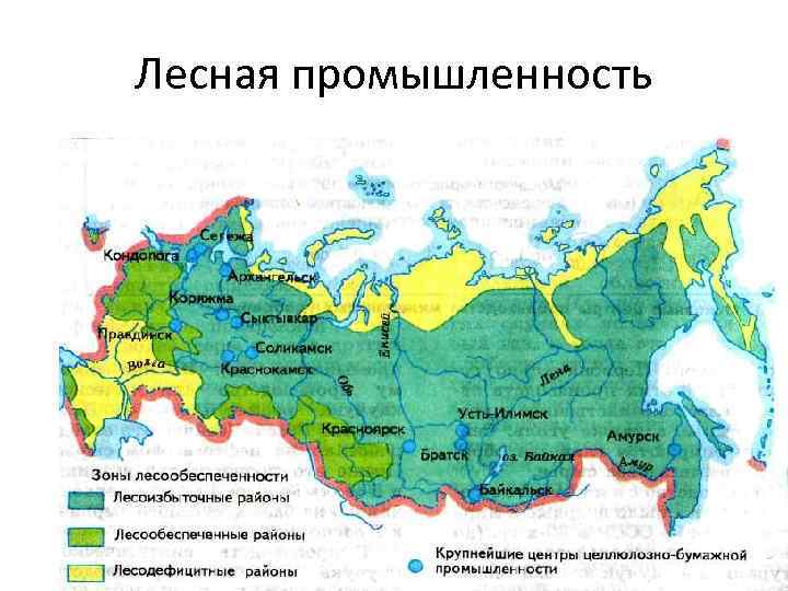 Лесные планы субъекта федерации не определяют лесного планирования