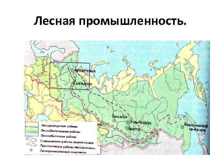 Базы и центры лесной промышленности. Характеристика Лесной промышленности. Центры Лесной промышленности в мире на карте.