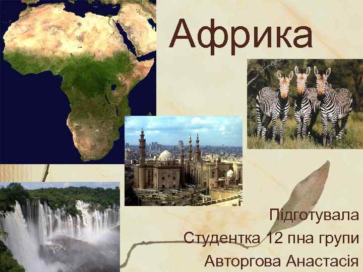 Африка Підготувала Студентка 12 пна групи Авторгова Анастасія 