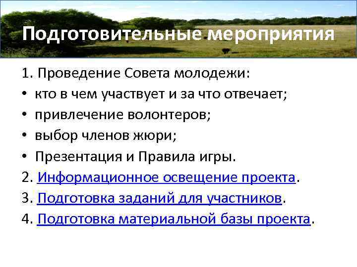 Подготовительные мероприятия 1. Проведение Совета молодежи: • кто в чем участвует и за что