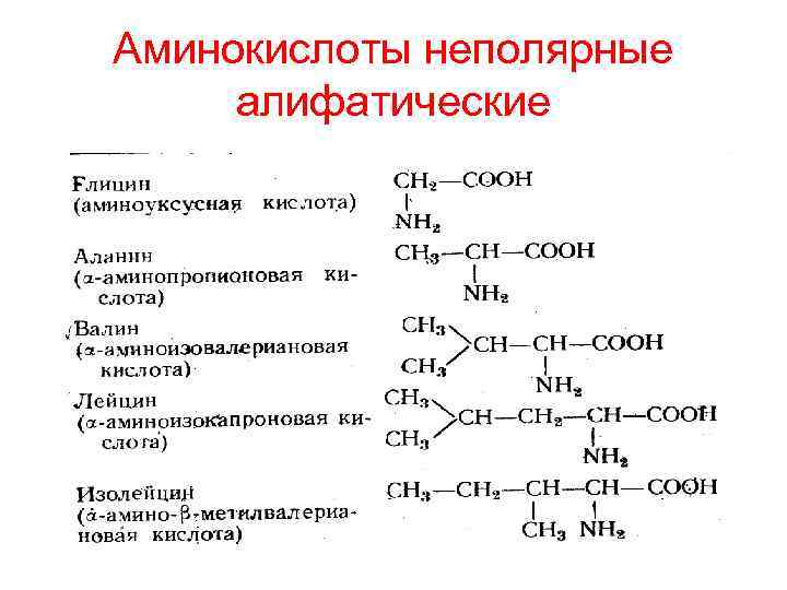 Аминокислоты неполярные алифатические 