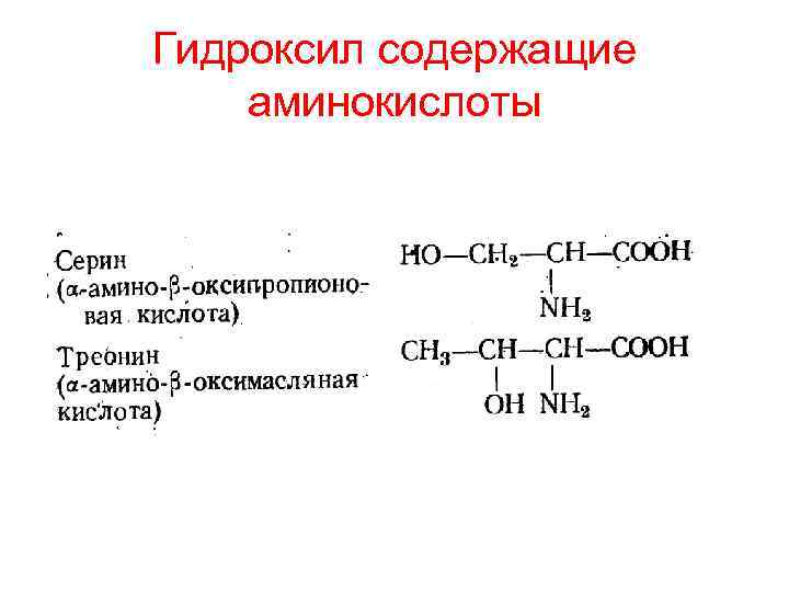 Гидроксил содержащие аминокислоты 