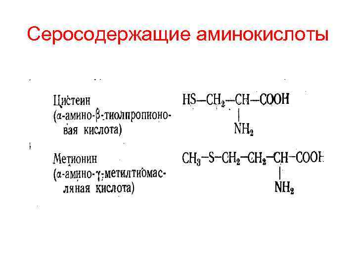 Серосодержащие аминокислоты 