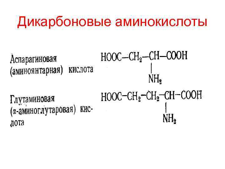 Дикарбоновые аминокислоты 