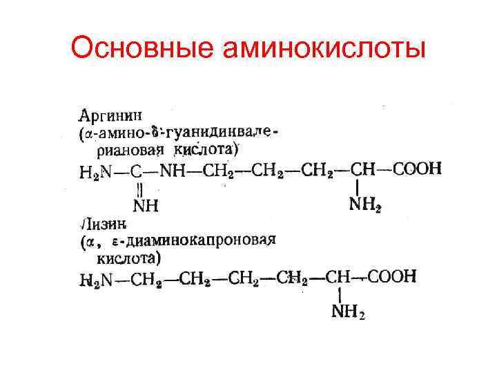 Аминокислотой является. Кислые основные и нейтральные аминокислоты. Кислые и основные аминокислоты. К основным аминокислотам относятся. Кислые аминокислоты примеры.