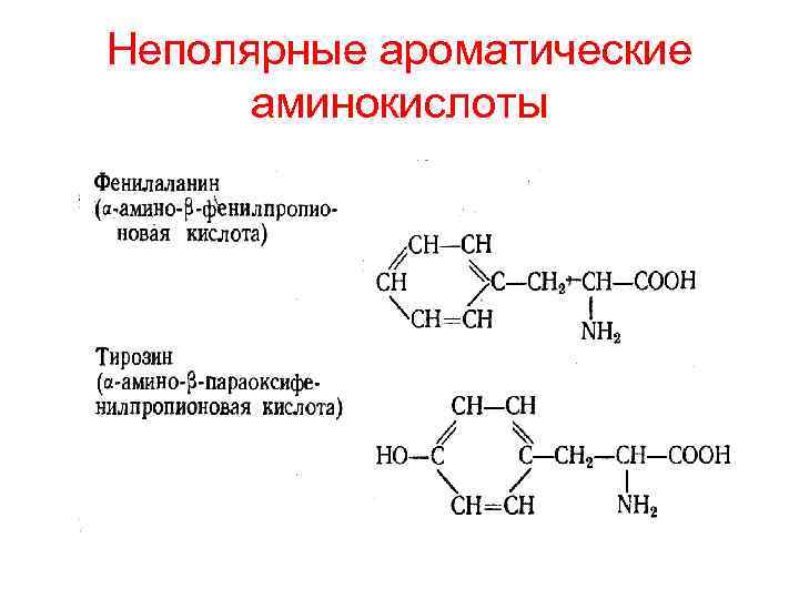 Неполярные ароматические аминокислоты 