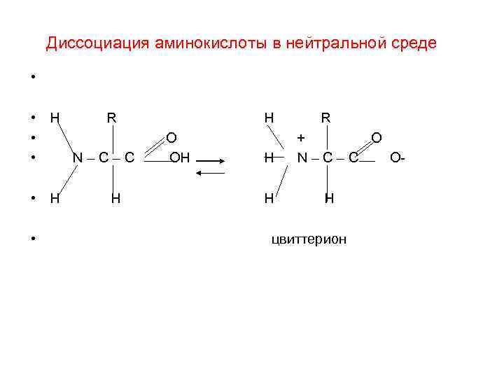 Диссоциация аминокислоты в нейтральной среде • • H R • • N–C–C • H